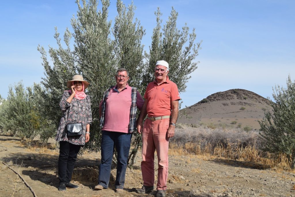 La première oliveraie plantée en 2014